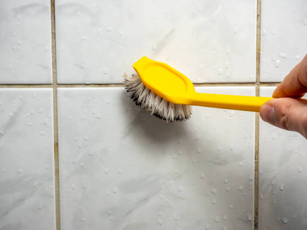 Best Local Mold Removal Service  in Bylas, AZ