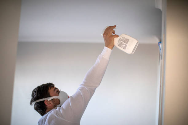 Best Black Mold Removal  in Bylas, AZ