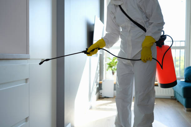 Best Mold Remediation  in Bylas, AZ