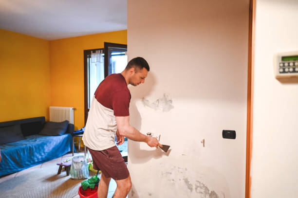 Best Mold Damage Repair  in Bylas, AZ