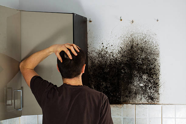 Best Mold Testing  in Bylas, AZ